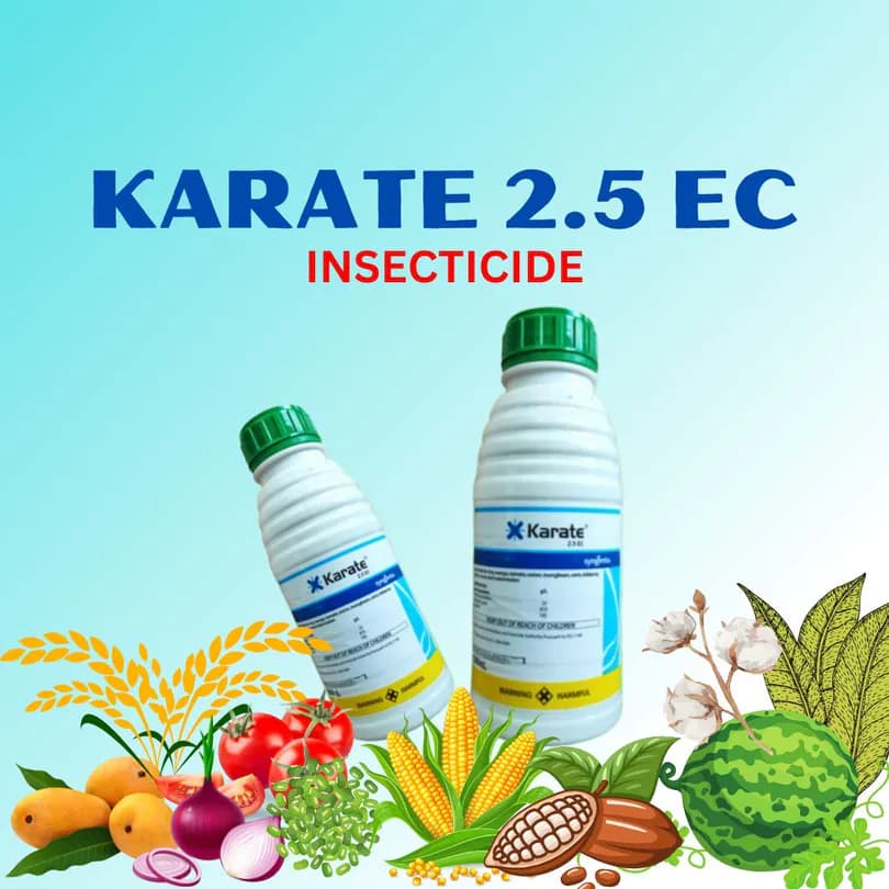 Product Featured