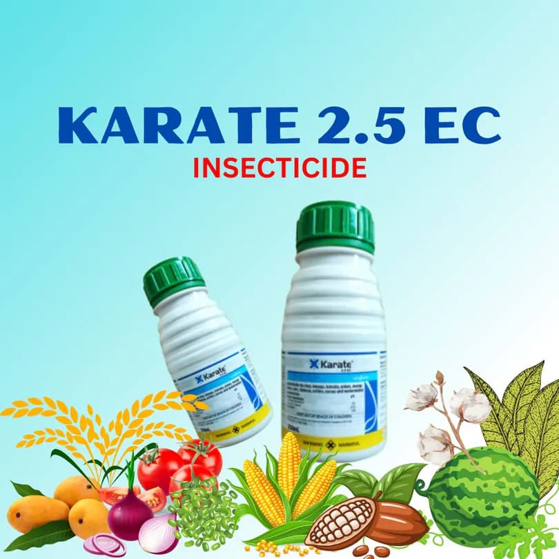 Product Featured